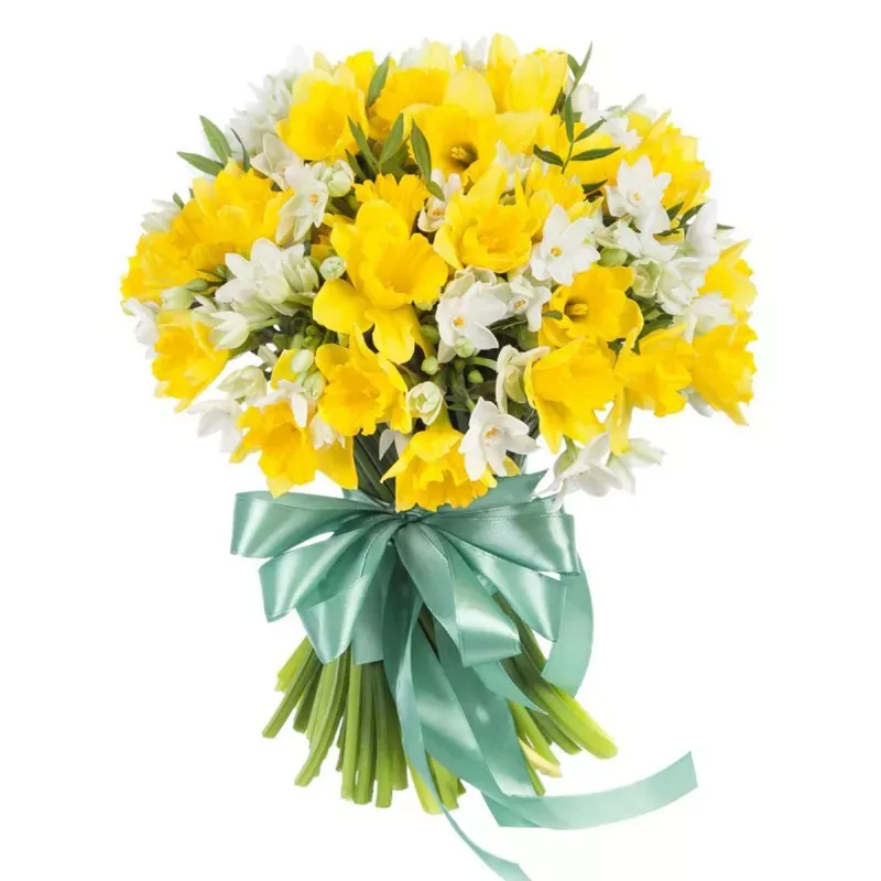 Нарциссы микс